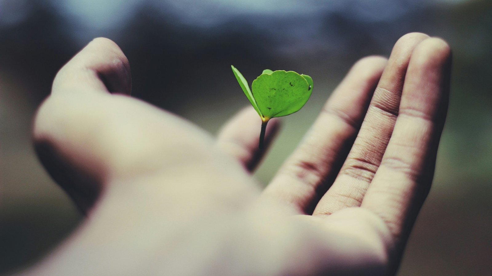 How Relocation Shapes Identity and Personal Growth